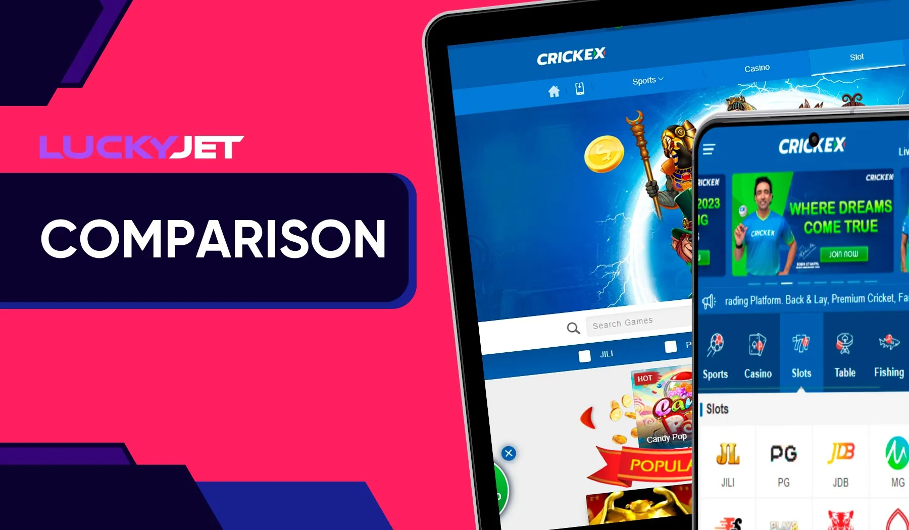 Which is better Crickex web version or Crickex app