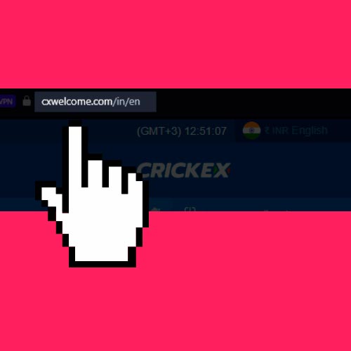 Access to Crickex website