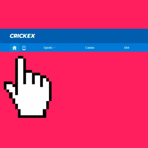 Acceso al portal Crickex